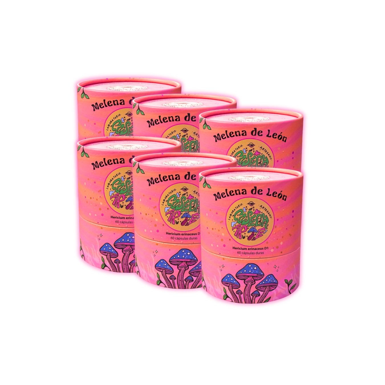 Suscripción por 6 meses