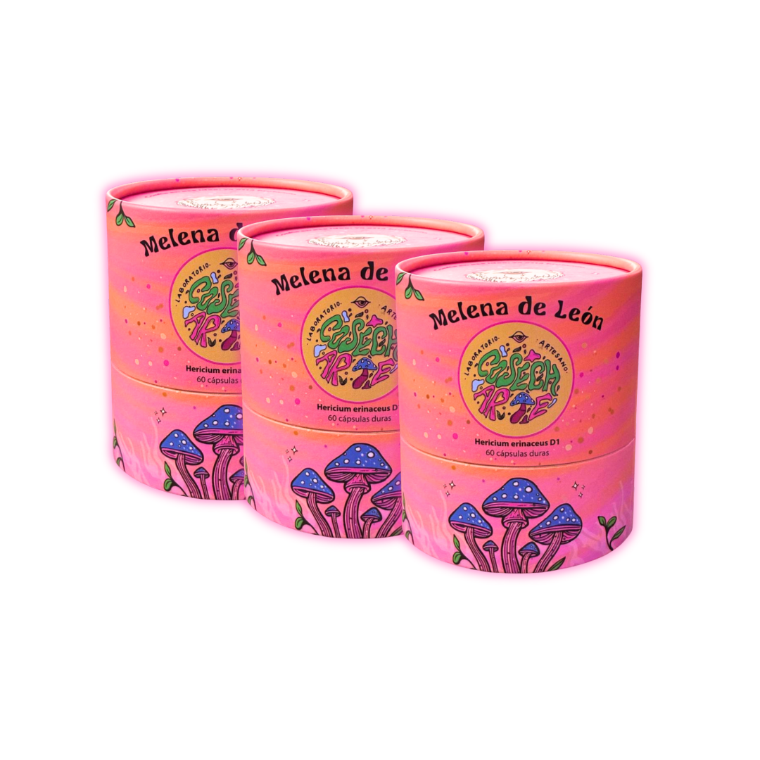 Suscripción por 3 meses