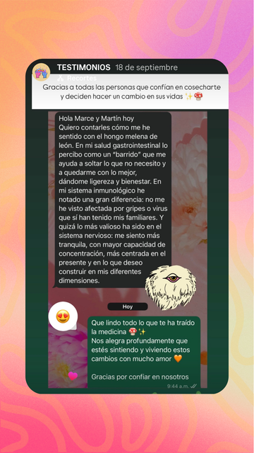 Testimonio de la comunidad Cosecharte