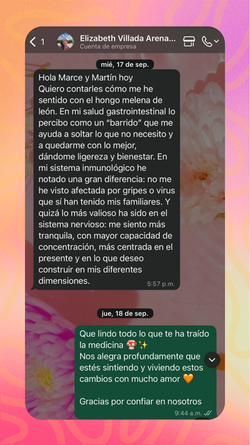 Testimonio de la comunidad Cosecharte