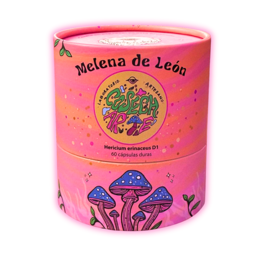 Melena de León fermentada en capsulas