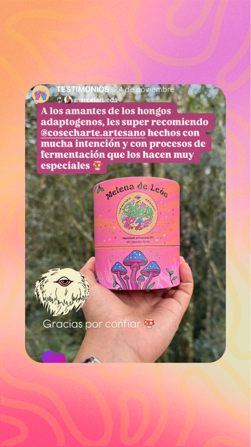 Testimonio de la comunidad Cosecharte