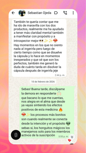 Testimonio de la comunidad Cosecharte